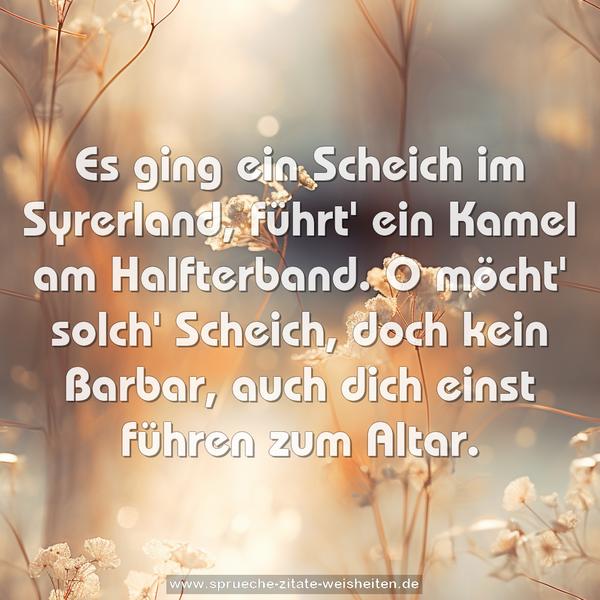 Es ging ein Scheich im Syrerland,
führt' ein Kamel am Halfterband.
O möcht' solch' Scheich, doch kein Barbar,
auch dich einst führen zum Altar.