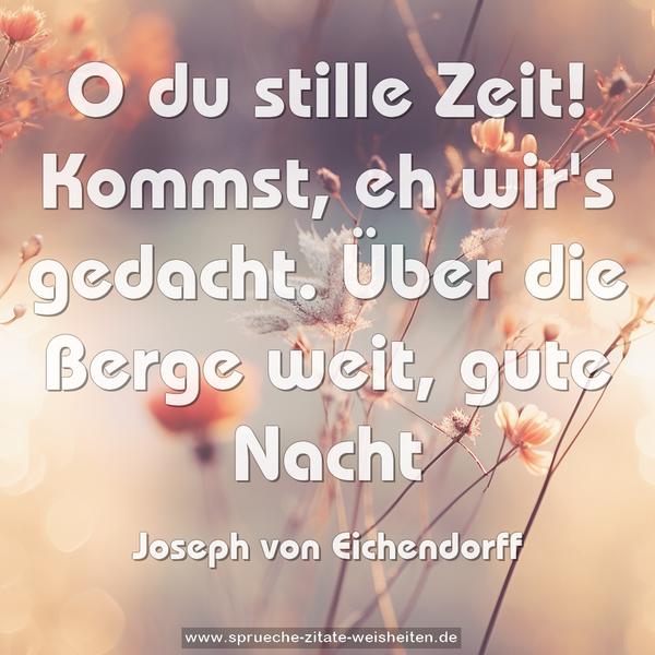 O du stille Zeit!
Kommst, eh wir's gedacht.
Über die Berge weit,
gute Nacht
