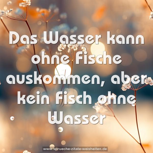 Das Wasser kann ohne Fische auskommen,
aber kein Fisch ohne Wasser