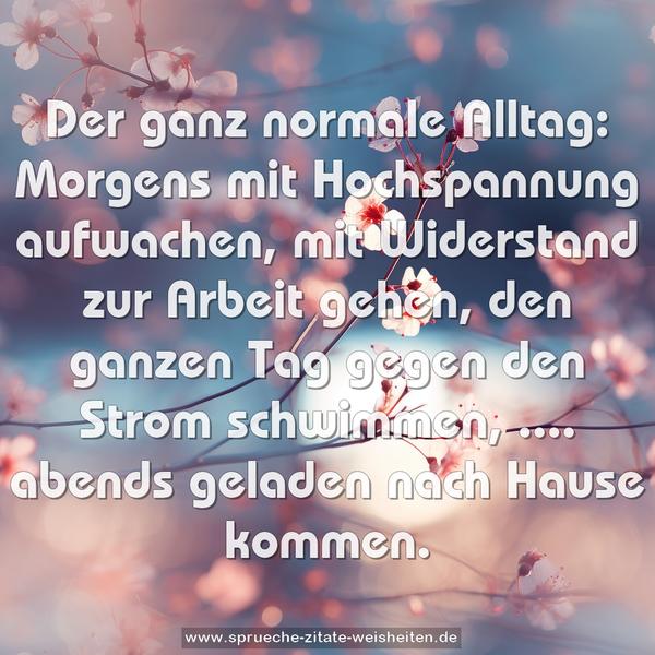 Der ganz normale Alltag:
Morgens mit Hochspannung aufwachen,
mit Widerstand zur Arbeit gehen,
den ganzen Tag gegen den Strom schwimmen,
.... abends geladen nach Hause kommen.