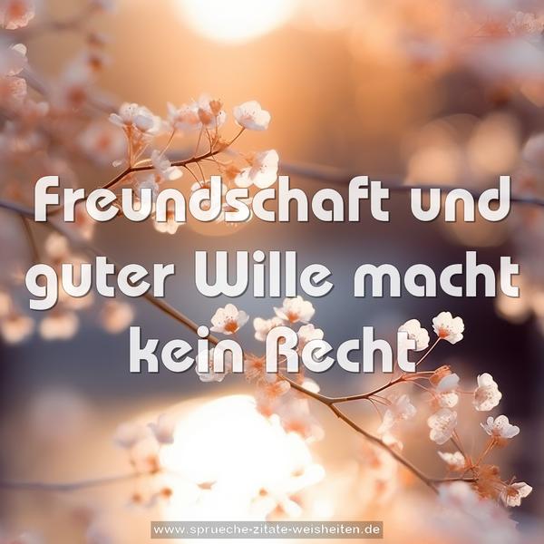 Freundschaft und guter Wille macht kein Recht
