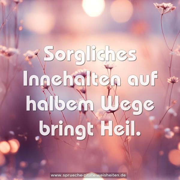 Sorgliches Innehalten auf halbem Wege
bringt Heil.