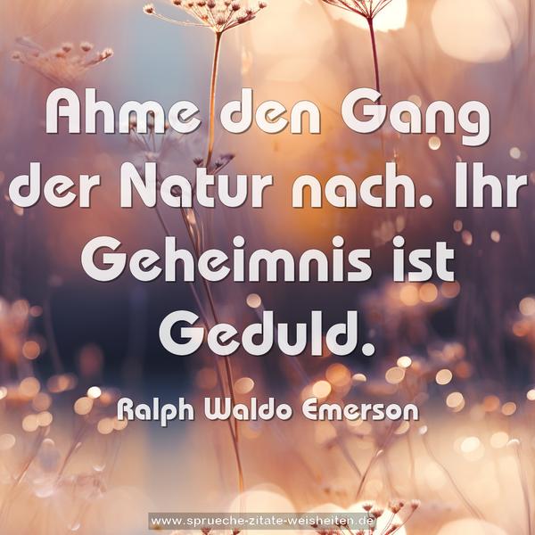 Ahme den Gang der Natur nach.
Ihr Geheimnis ist Geduld.