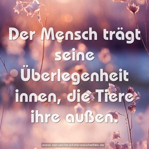 Der Mensch trägt seine Überlegenheit innen,
die Tiere ihre außen.