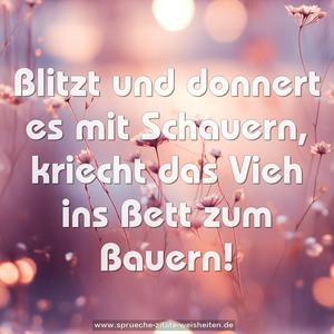 Blitzt und donnert es mit Schauern,
kriecht das Vieh ins Bett zum Bauern! 