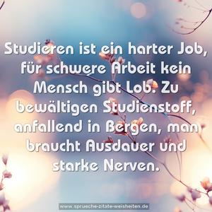 Studieren ist ein harter Job,
für schwere Arbeit kein Mensch gibt Lob.
Zu bewältigen Studienstoff, anfallend in Bergen,
man braucht Ausdauer und starke Nerven.