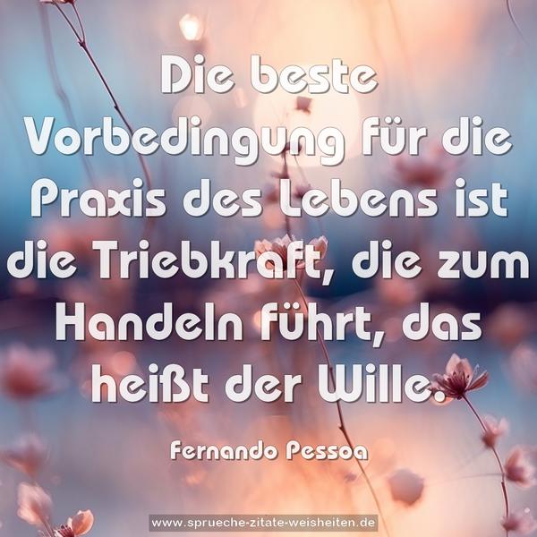 Die beste Vorbedingung für die Praxis des Lebens ist die Triebkraft, die zum Handeln führt, das heißt der Wille.