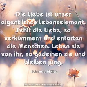 Die Liebe ist unser eigentliches Lebenselement.
Fehlt die Liebe, so verkümmern und entarten die Menschen. Leben sie von ihr, so gedeihen sie und bleiben jung. 