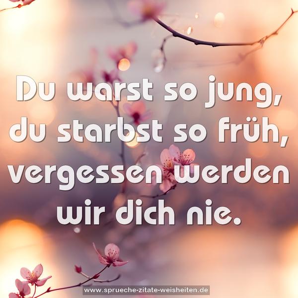 Du warst so jung,
du starbst so früh,
vergessen werden wir dich nie.