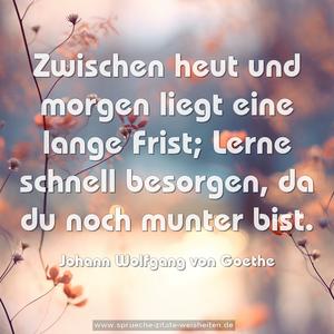 Zwischen heut und morgen
liegt eine lange Frist;
Lerne schnell besorgen,
da du noch munter bist.