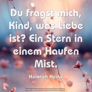 Du fragst mich, Kind, was Liebe ist?
Ein Stern in einem Haufen Mist. 