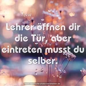Lehrer öffnen dir die Tür,
aber eintreten musst du selber.