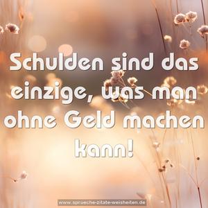 Schulden sind das einzige, was man ohne Geld machen kann!