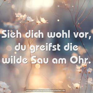 Sieh dich wohl vor, du greifst die wilde Sau am Ohr.