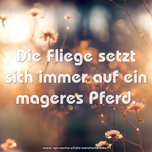 Die Fliege setzt sich immer auf ein mageres Pferd.