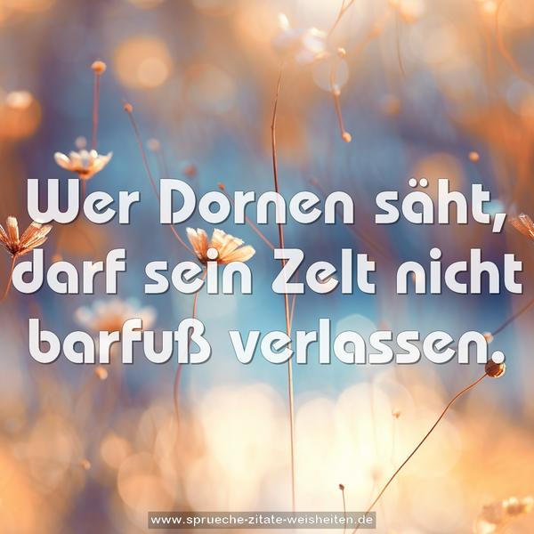 Wer Dornen säht, darf sein Zelt nicht barfuß verlassen.