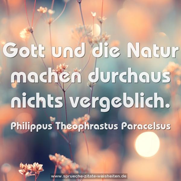 Gott und die Natur machen durchaus nichts vergeblich.