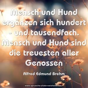 Mensch und Hund ergänzen sich hundert - und tausendfach. Mensch und Hund sind die treuesten aller Genossen