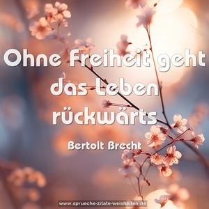 Ohne Freiheit geht das Leben rückwärts