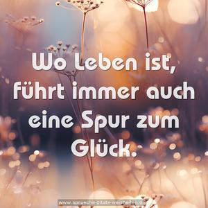 Wo Leben ist,
führt immer auch eine Spur zum Glück.