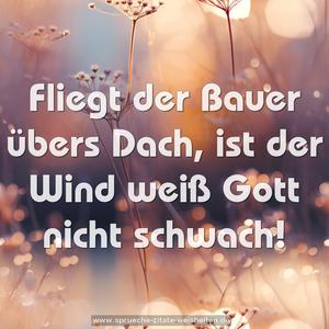 Fliegt der Bauer übers Dach,
ist der Wind weiß Gott nicht schwach! 
