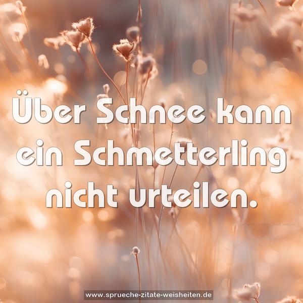 Über Schnee kann ein Schmetterling nicht urteilen.