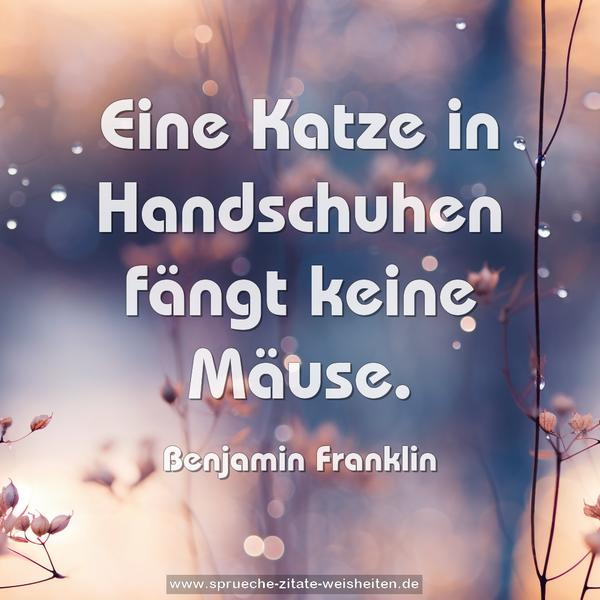 Eine Katze in Handschuhen fängt keine Mäuse.