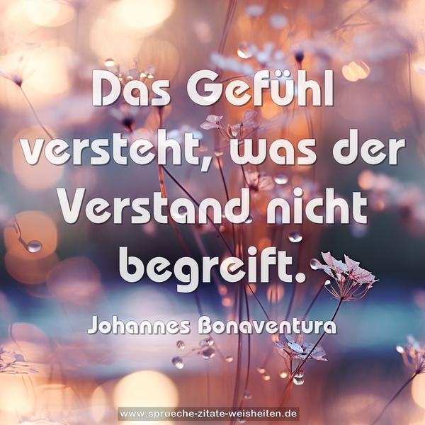 Das Gefühl versteht, was der Verstand nicht begreift.