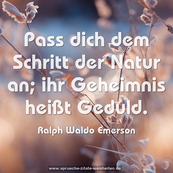 Pass dich dem Schritt der Natur an;
ihr Geheimnis heißt Geduld.