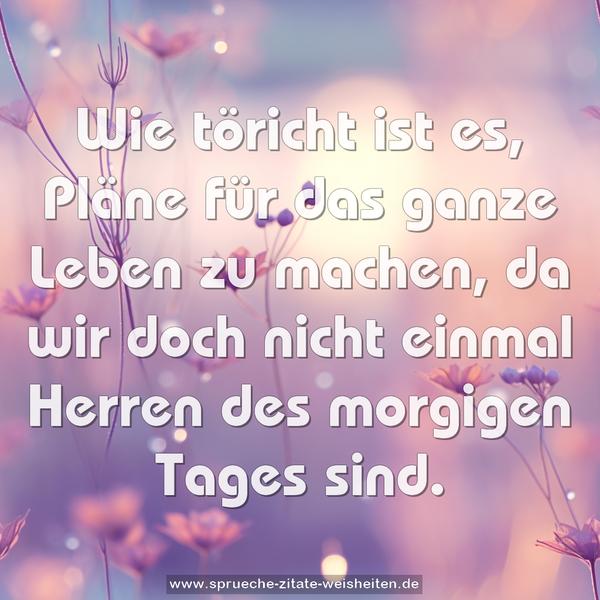 Wie töricht ist es,
Pläne für das ganze Leben zu machen,
da wir doch nicht einmal
Herren des morgigen Tages sind.