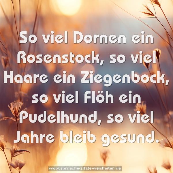 So viel Dornen ein Rosenstock,
so viel Haare ein Ziegenbock,
so viel Flöh ein Pudelhund,
so viel Jahre bleib gesund.