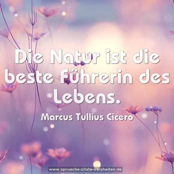 Die Natur ist die beste Führerin des Lebens.