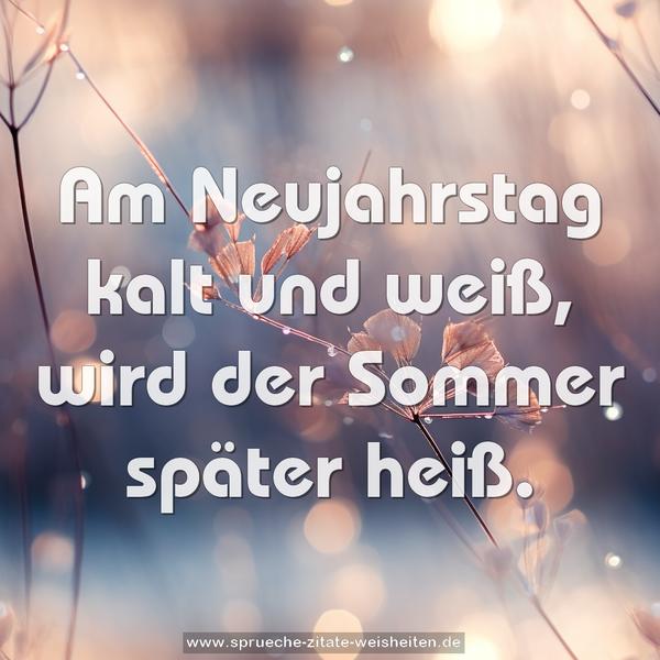 Am Neujahrstag kalt und weiß,
wird der Sommer später heiß.