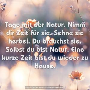 Tage mit der Natur.
Nimm dir Zeit für sie.
Sehne sie herbei.
Du brauchst sie.
Selbst du bist Natur.
Eine kurze Zeit bist du wieder zu Hause.