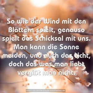 So wie der Wind mit den Blättern spielt,
genauso spielt das Schicksal mit uns.
Man kann die Sonne meiden, und auch das Licht,
doch das was man liebt vergißt man nicht.