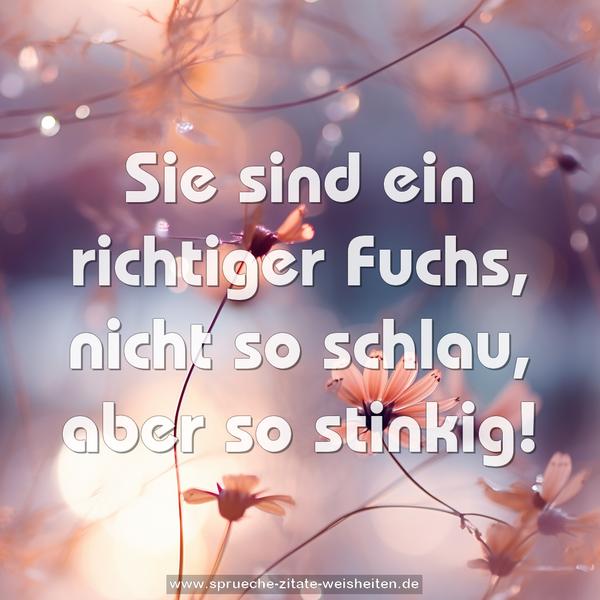 Sie sind ein richtiger Fuchs,
nicht so schlau, aber so stinkig!