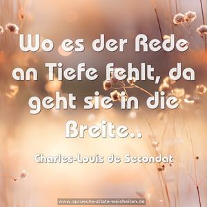 Wo es der Rede an Tiefe fehlt, da geht sie in die Breite..
