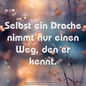 Selbst ein Drache nimmt nur einen Weg, den er kennt.