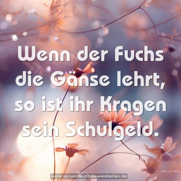 Wenn der Fuchs die Gänse lehrt,
so ist ihr Kragen sein Schulgeld.
