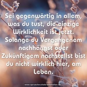 Sei gegenwärtig in allem, was du tust,
die einzige Wirklichkeit ist jetzt.
Solange du Vergangenem nachhängst oder Zukünftigem nachstellst
bist du nicht wirklich hier, am Leben.