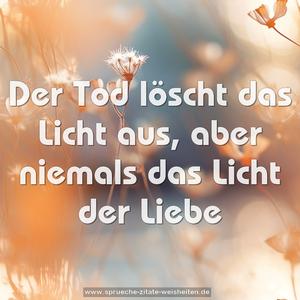 Der Tod löscht das Licht aus,
aber niemals das Licht der Liebe 