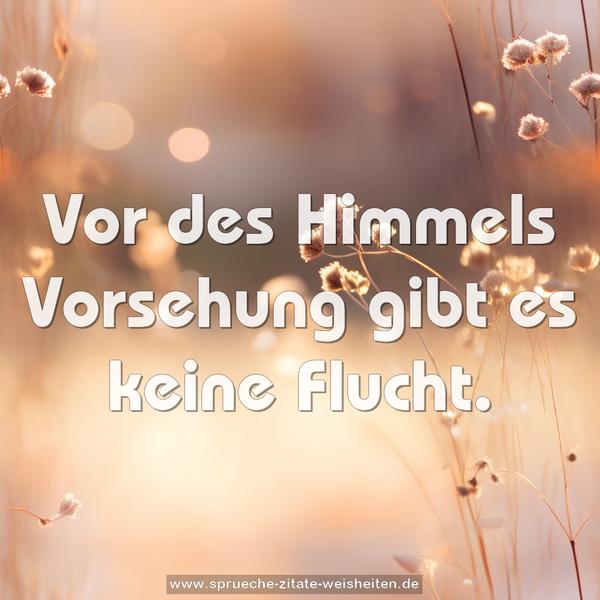 Vor des Himmels Vorsehung gibt es keine Flucht.