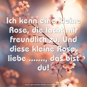 Ich kenn eine kleine Rose,
die lacht mir freundlich zu.
Und diese kleine Rose,
liebe ......., das bist du!