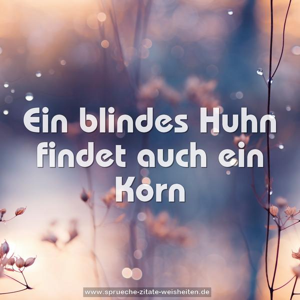 Ein blindes Huhn findet auch ein Korn