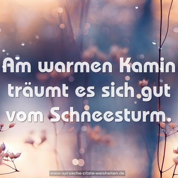 Am warmen Kamin träumt es sich gut vom Schneesturm.