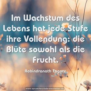 Im Wachstum des Lebens
hat jede Stufe ihre Vollendung:
die Blüte sowohl als die Frucht.
