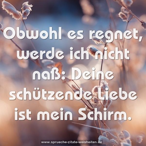 Obwohl es regnet, werde ich nicht naß:
Deine schützende Liebe ist mein Schirm.