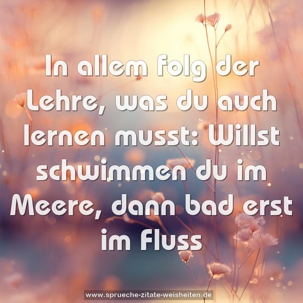 In allem folg der Lehre,
was du auch lernen musst:
Willst schwimmen du im Meere,
dann bad erst im Fluss
