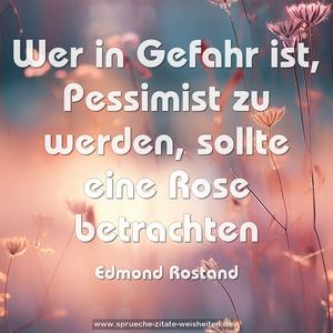 Wer in Gefahr ist,
Pessimist zu werden,
sollte eine Rose betrachten