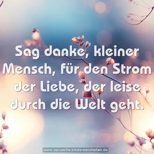 Sag danke, kleiner Mensch,
für den Strom der Liebe,
der leise durch die Welt geht.